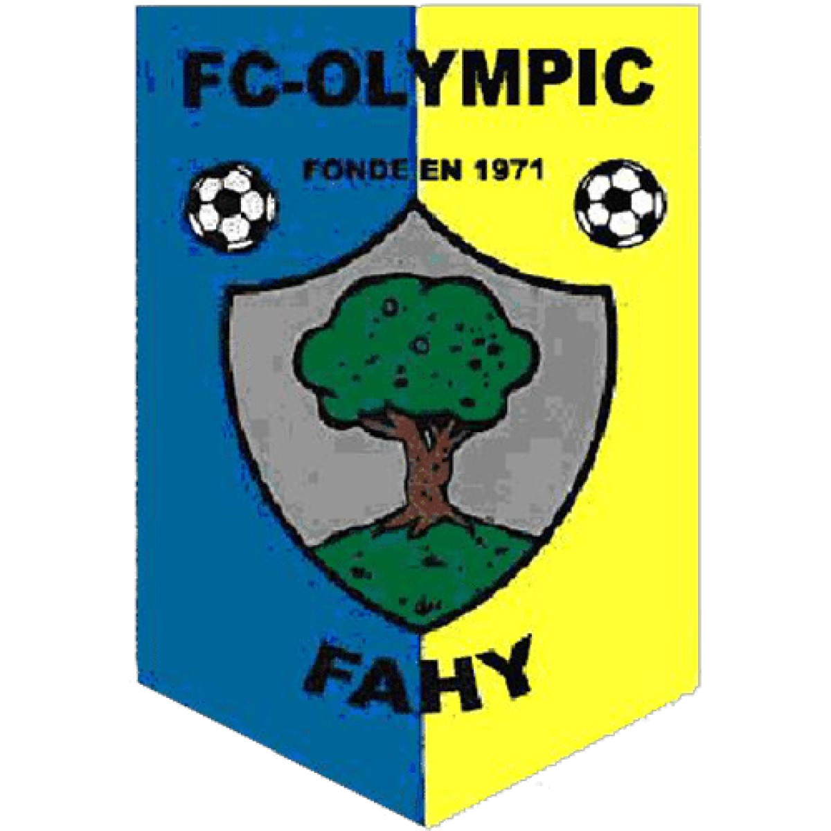 FC Olympic Fahy